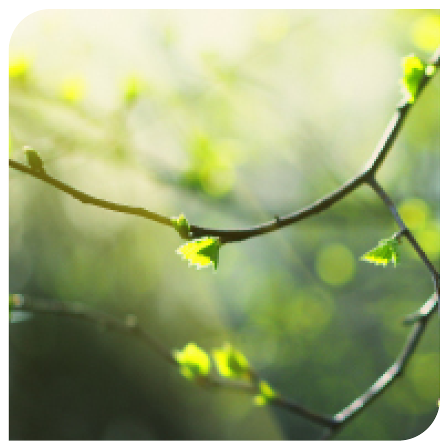 2. Growth — Scale with Intention