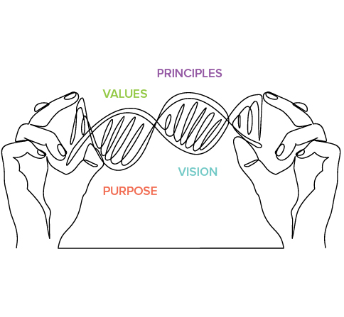 DNA-Foundation