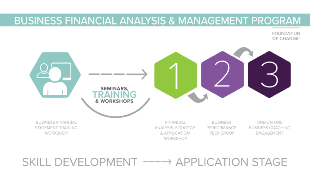 Financial Analysis, Strategy &amp; Application Workshop