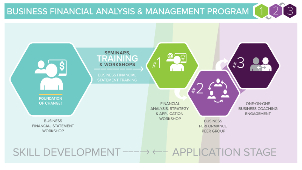 Business Financial Analysis &amp; Management Program