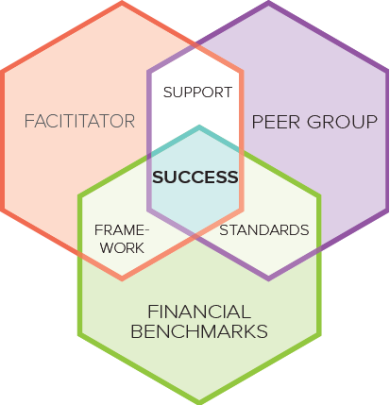 Peer Groups &amp; Financial Statement Analysis Workshop